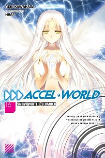 Accel World Novel Vol. 16