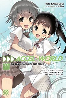 Accel World Novel Vol. 20